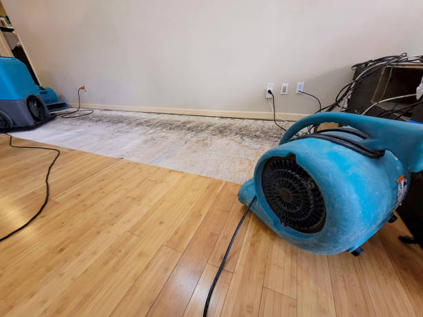 Professional Flood Damage Cleanup technician working in Allentown, NJ